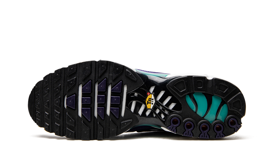 NIKE AIR MAX PLUS WHITE GRAPE ICE