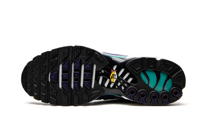 NIKE AIR MAX PLUS WHITE GRAPE ICE