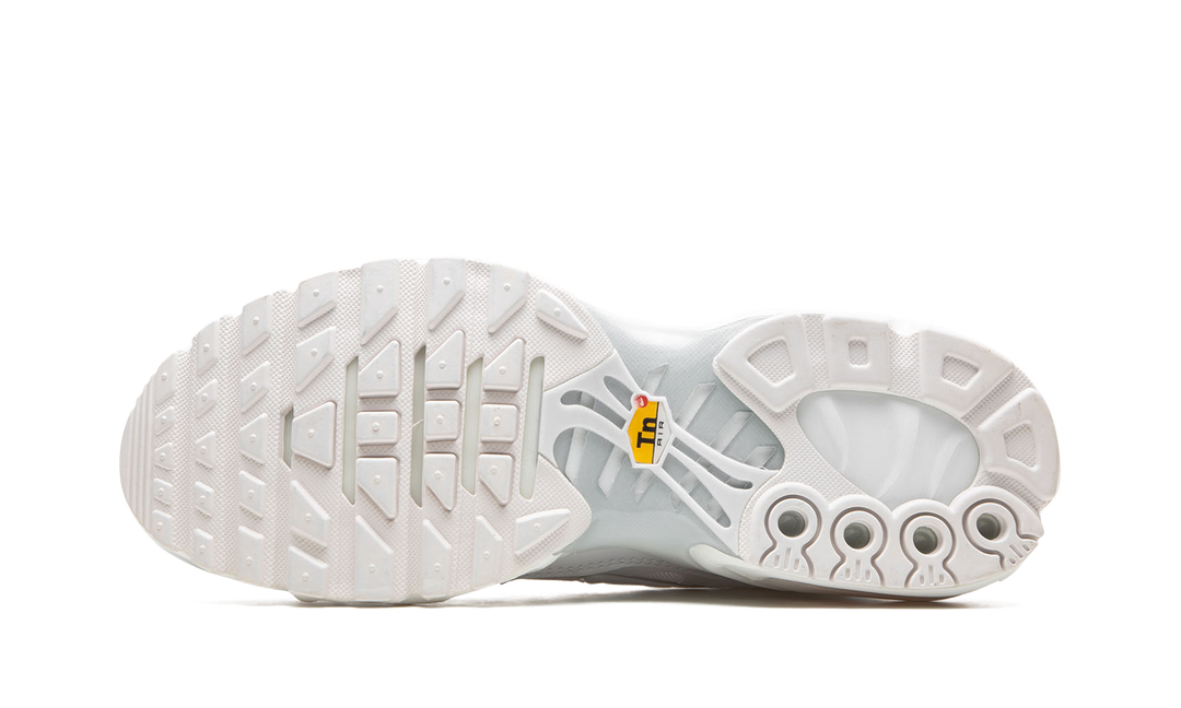 NIKE AIR MAX PLUS WHITE PURE PLATINUM (WOMEN&
