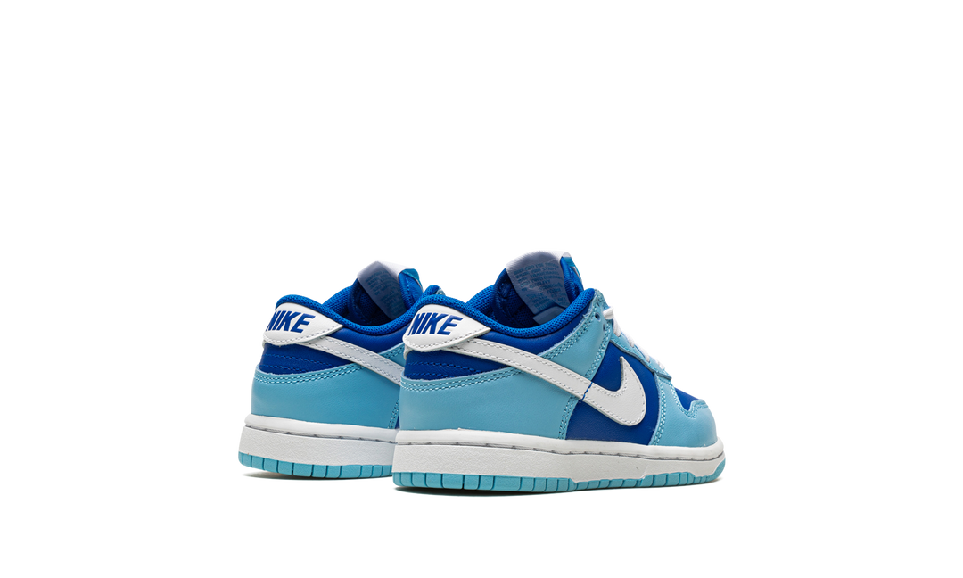 NIKE DUNK LOW ARGON PS
