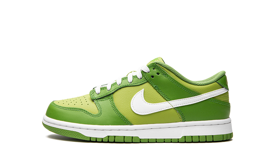 NIKE DUNK LOW CHLOROPHYLL GS