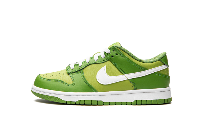 NIKE DUNK LOW CHLOROPHYLL GS