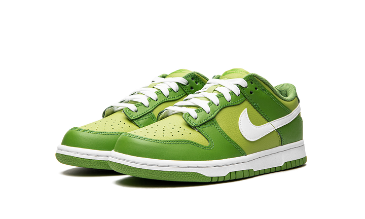 NIKE DUNK LOW CHLOROPHYLL GS