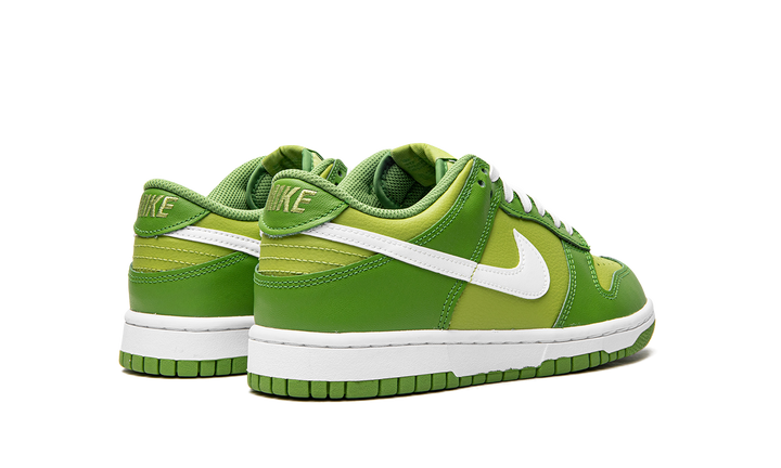 NIKE DUNK LOW CHLOROPHYLL GS