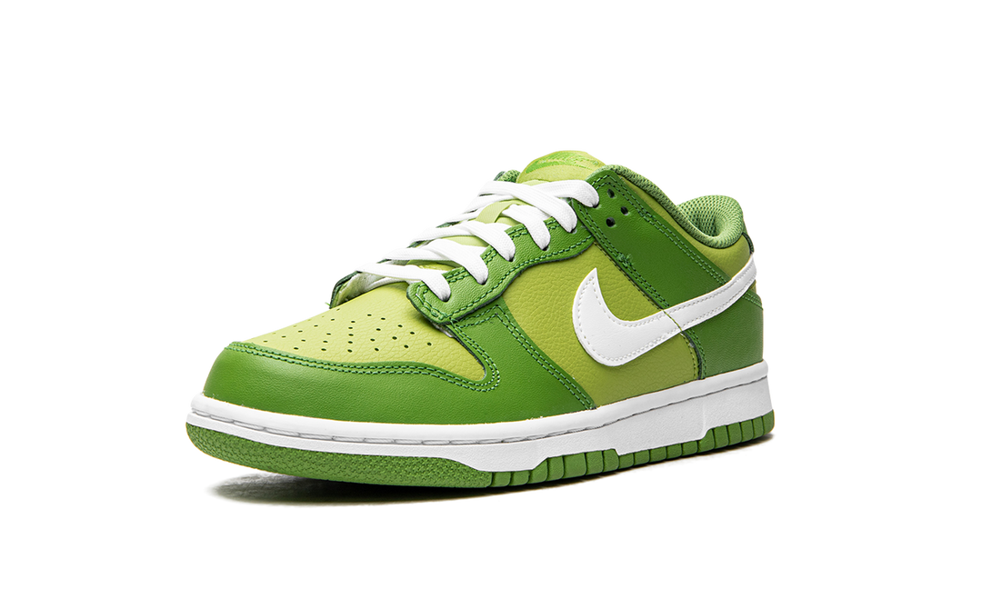 NIKE DUNK LOW CHLOROPHYLL GS