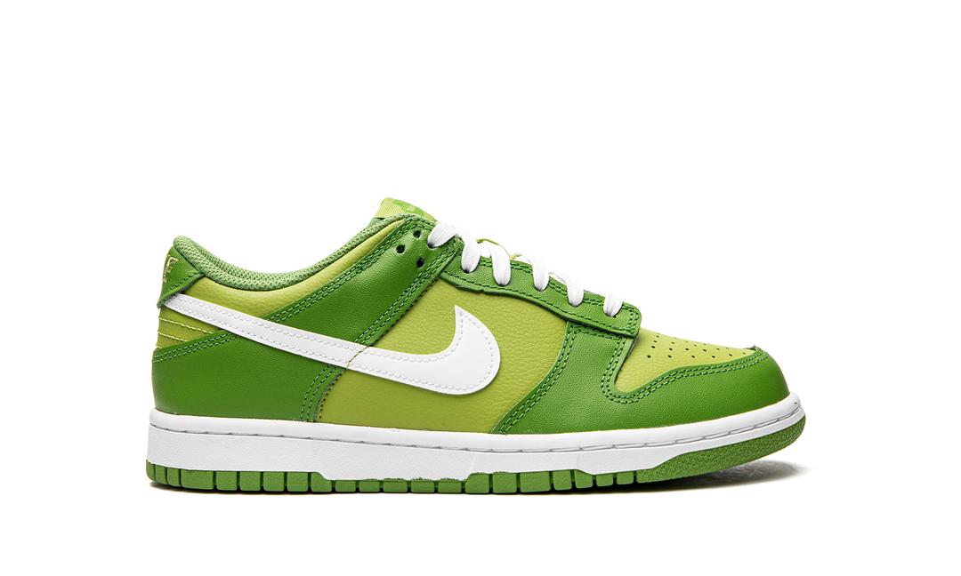 NIKE DUNK LOW CHLOROPHYLL GS