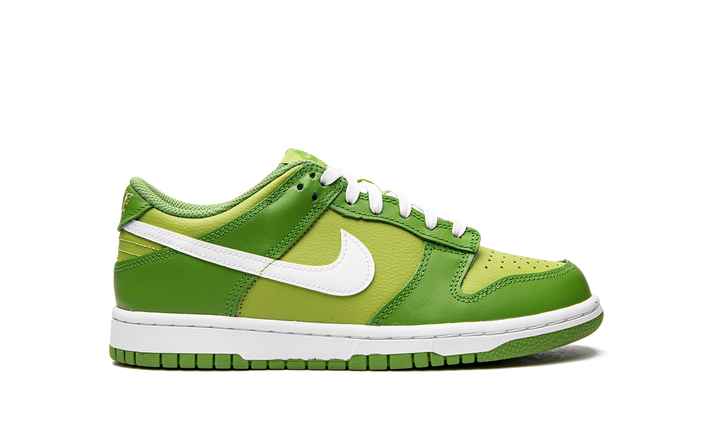 NIKE DUNK LOW CHLOROPHYLL GS