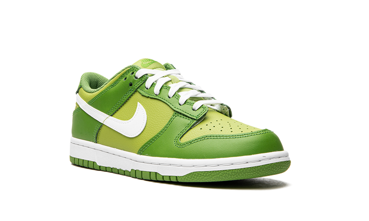 NIKE DUNK LOW CHLOROPHYLL GS