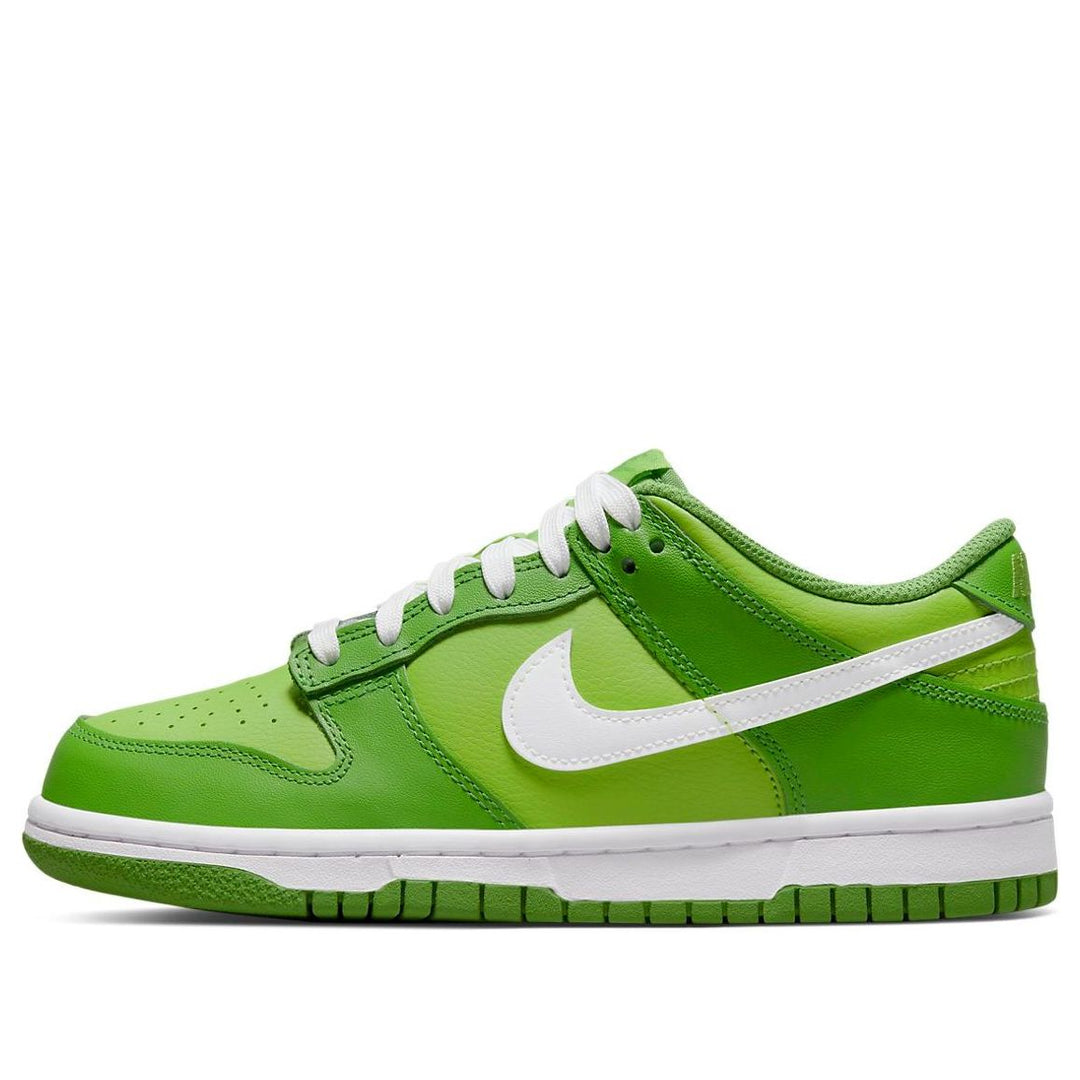 NIKE DUNK LOW CHLOROPHYLL GS