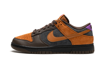 NIKE DUNK LOW CIDER PRM — Stock