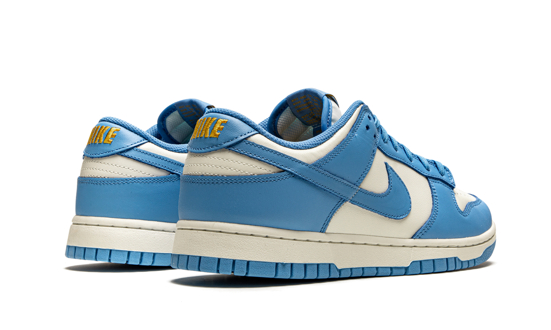 NIKE DUNK LOW COAST WOMENS