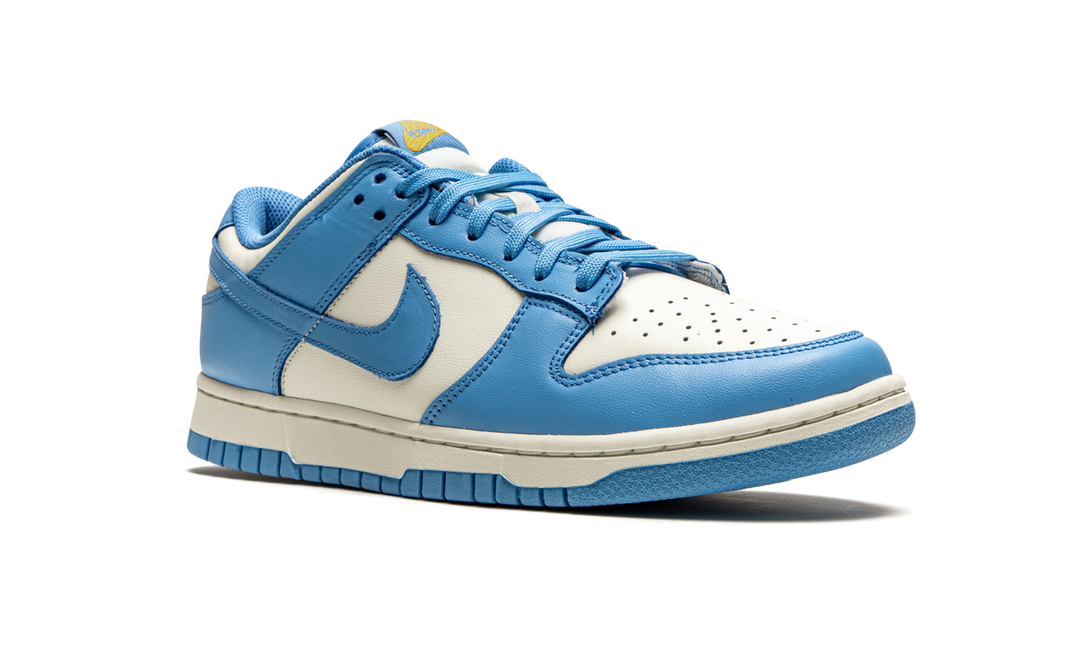 NIKE DUNK LOW COAST WOMENS