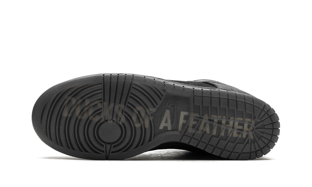 NIKE DUNK LOW DUCKS OF A FEATHER BLACK UNIVERSITY OF OREGON PE — Stock 