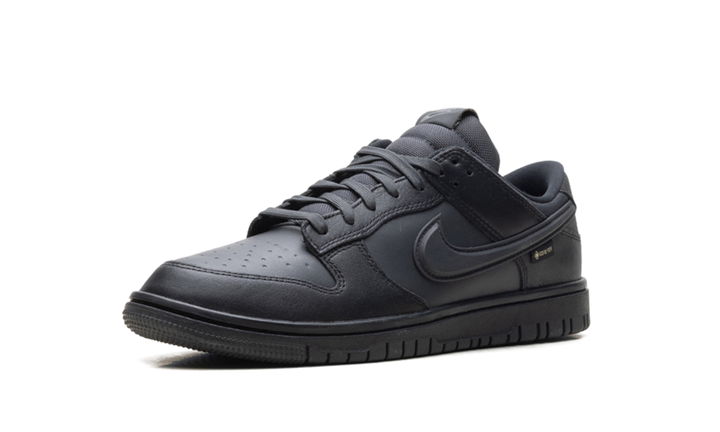 NIKE DUNK LOW GORE-TEX TRIPLE BLACK