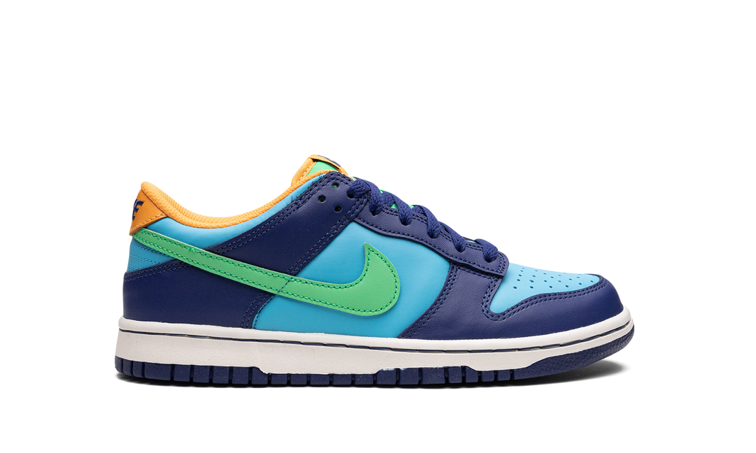 NIKE DUNK LOW HOOPS BLUE MULTI GS