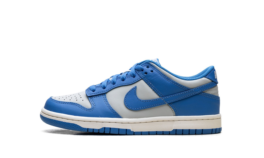 NIKE DUNK LOW LIGHT SILVER SAIL LIGHT PHOTO BLUE (GS)