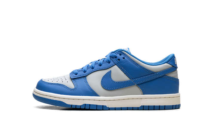 NIKE DUNK LOW LIGHT SILVER SAIL LIGHT PHOTO BLUE (GS)
