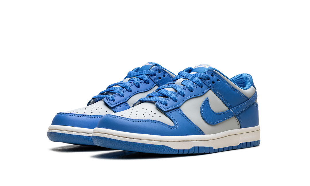 NIKE DUNK LOW LIGHT SILVER SAIL LIGHT PHOTO BLUE (GS)
