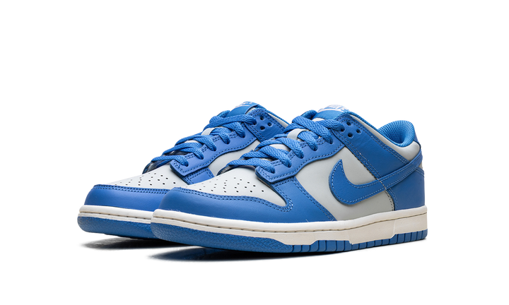 NIKE DUNK LOW LIGHT SILVER SAIL LIGHT PHOTO BLUE (GS)
