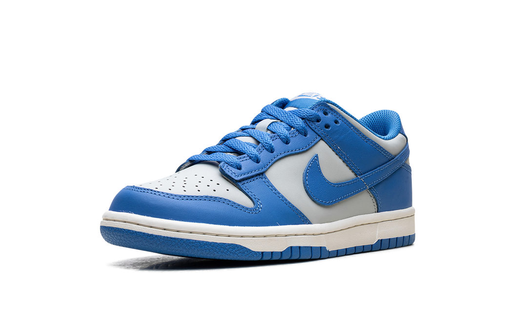 NIKE DUNK LOW LIGHT SILVER SAIL LIGHT PHOTO BLUE (GS)
