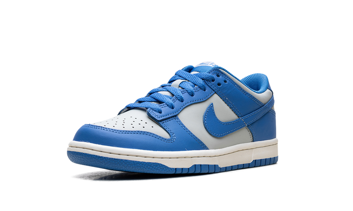 NIKE DUNK LOW LIGHT SILVER SAIL LIGHT PHOTO BLUE (GS)