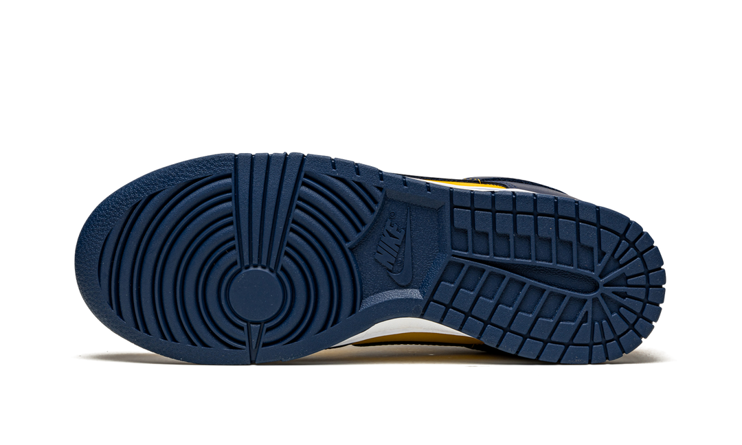 NIKE DUNK LOW MICHIGAN 2021
