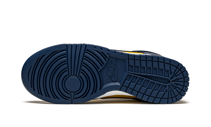 NIKE DUNK LOW MICHIGAN 2021