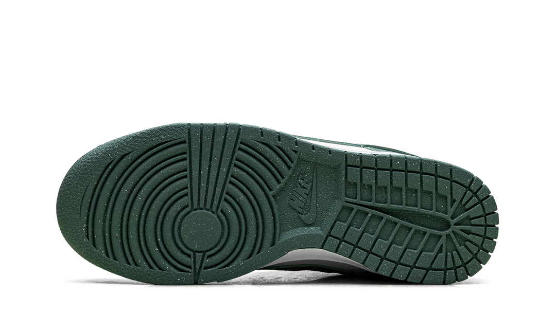 NIKE DUNK LOW NEXT NATURE BICOASTAL WOMENS