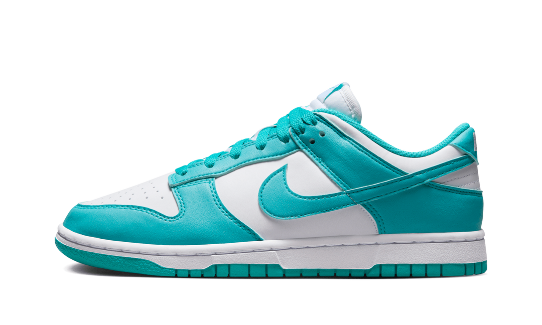 NIKE DUNK LOW NEXT NATURE DUSTY CACTUS WOMENS