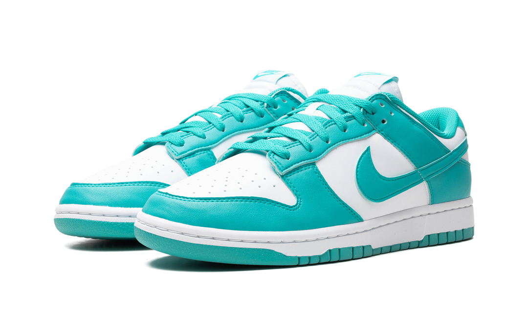 NIKE DUNK LOW NEXT NATURE DUSTY CACTUS WOMENS