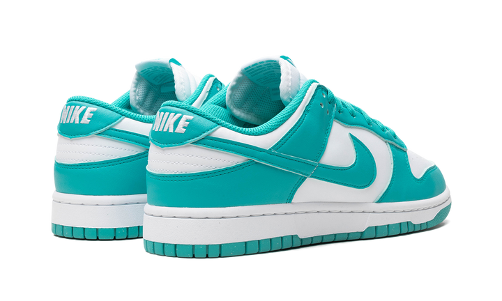 NIKE DUNK LOW NEXT NATURE DUSTY CACTUS WOMENS