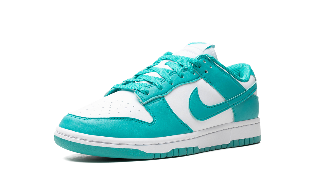 NIKE DUNK LOW NEXT NATURE DUSTY CACTUS WOMENS