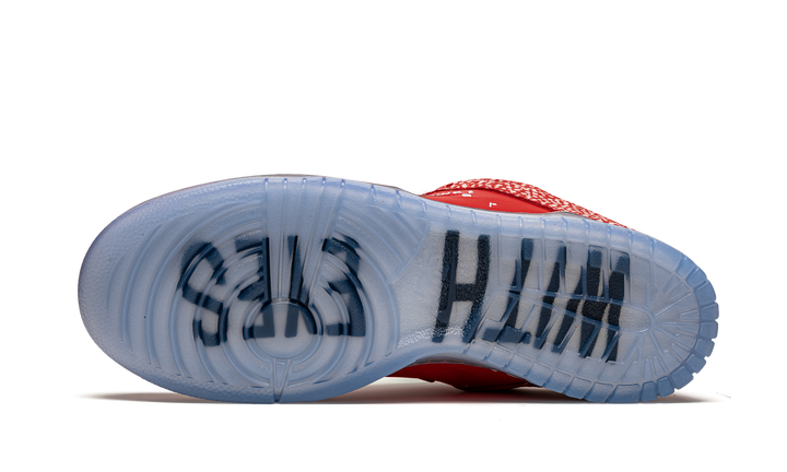 NIKE DUNK LOW SB X STINGWATER MAGIC MUSHROOM