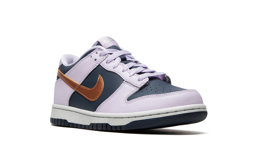 NIKE DUNK LOW SE COPPER SWOOSH FROST GS