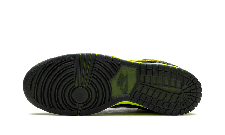 NIKE DUNK LOW WHAT THE DUCK HOME UNIVERSITY OF OREGON PE