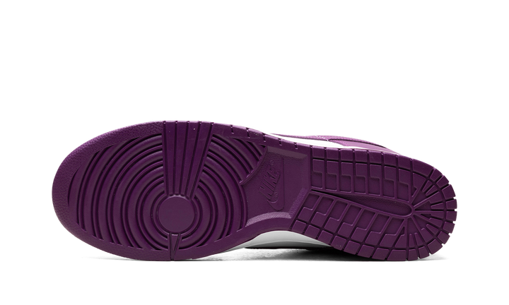 NIKE DUNK LOW WHITE VIOTECH