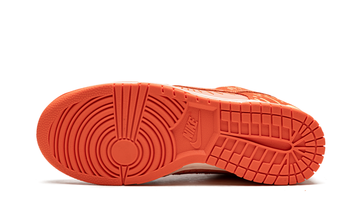 NIKE DUNK LOW WINTER SOLSTICE WOMENS