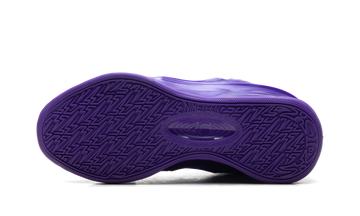 NIKE KD 19 FIELD PURPLE