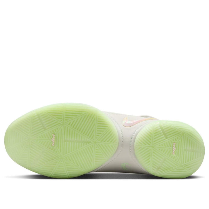 NIKE LEBRON 22 DUNKMAN (TRANSLUCENT OUTSOLE)