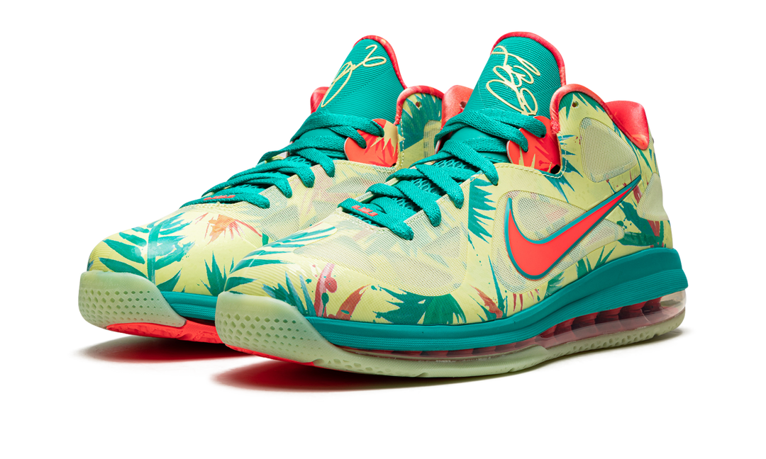 NIKE LEBRON 9 LEBRONALD PALMER 2022