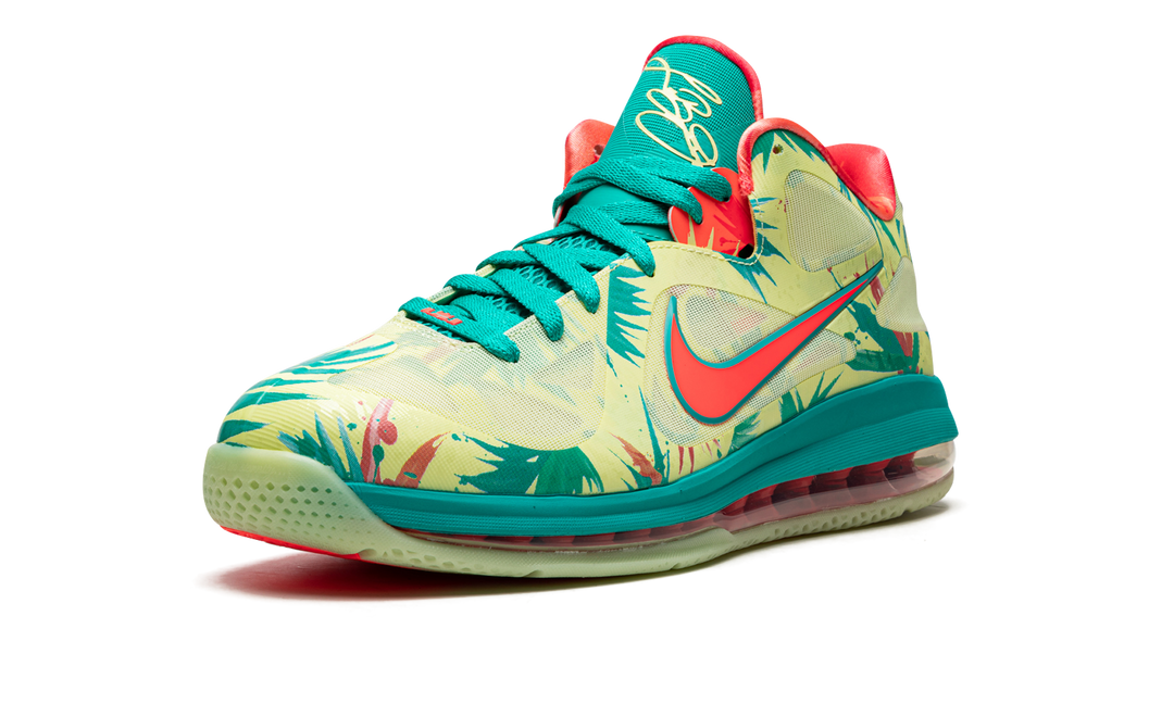 NIKE LEBRON 9 LEBRONALD PALMER 2022