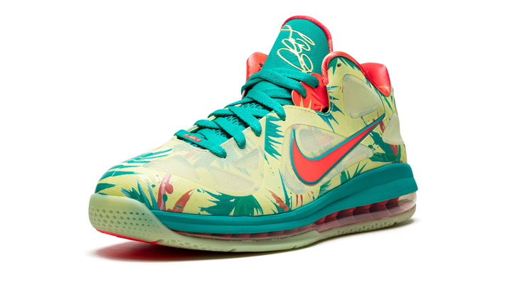 NIKE LEBRON 9 LEBRONALD PALMER 2022