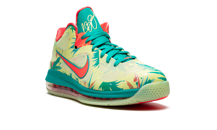 NIKE LEBRON 9 LEBRONALD PALMER 2022