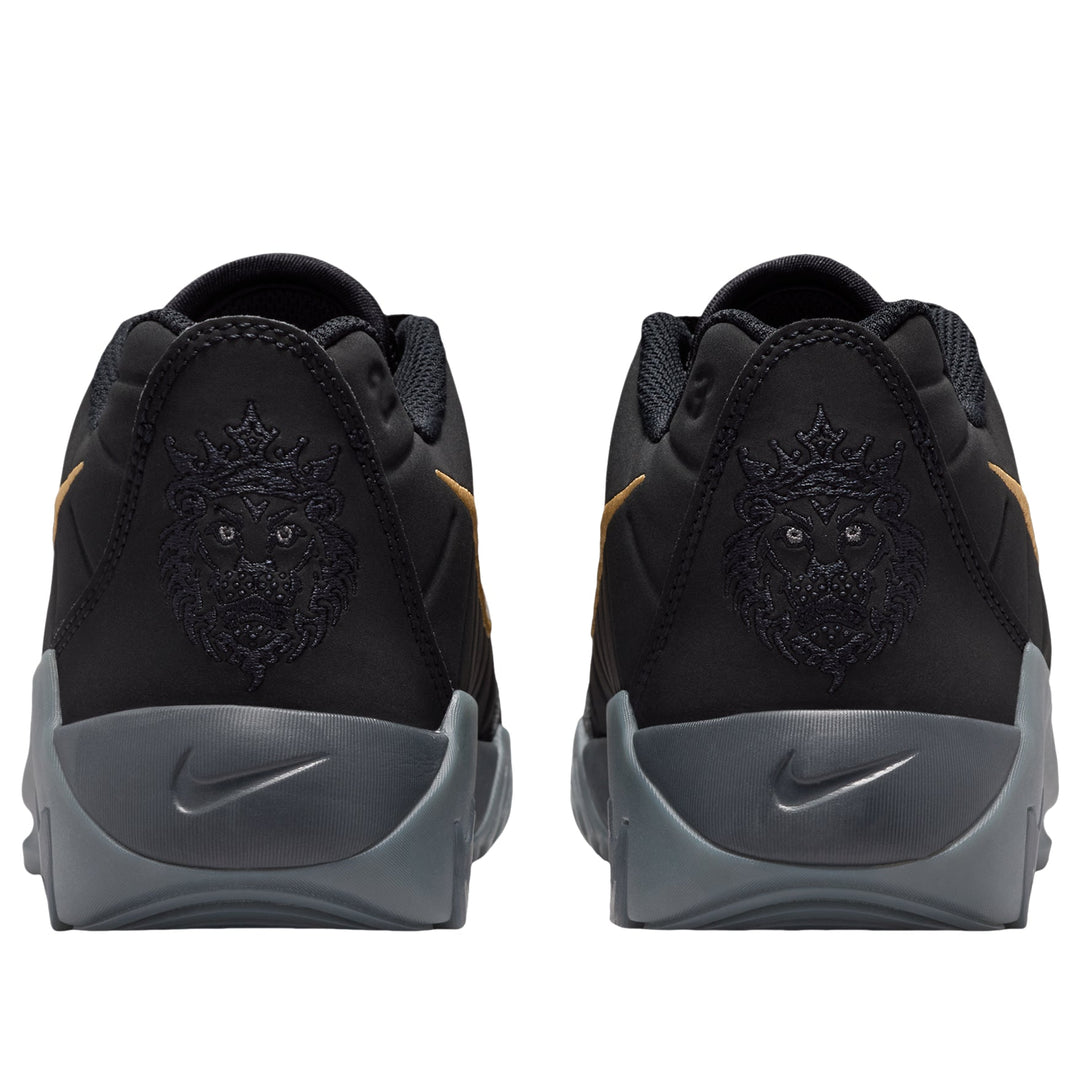 NIKE LEBRON WITNESS 9 BLACK IRON GREY GOLD GS