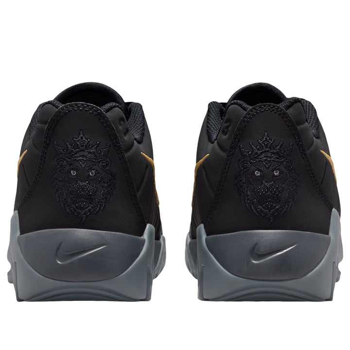 NIKE LEBRON WITNESS 9 BLACK IRON GREY GOLD GS