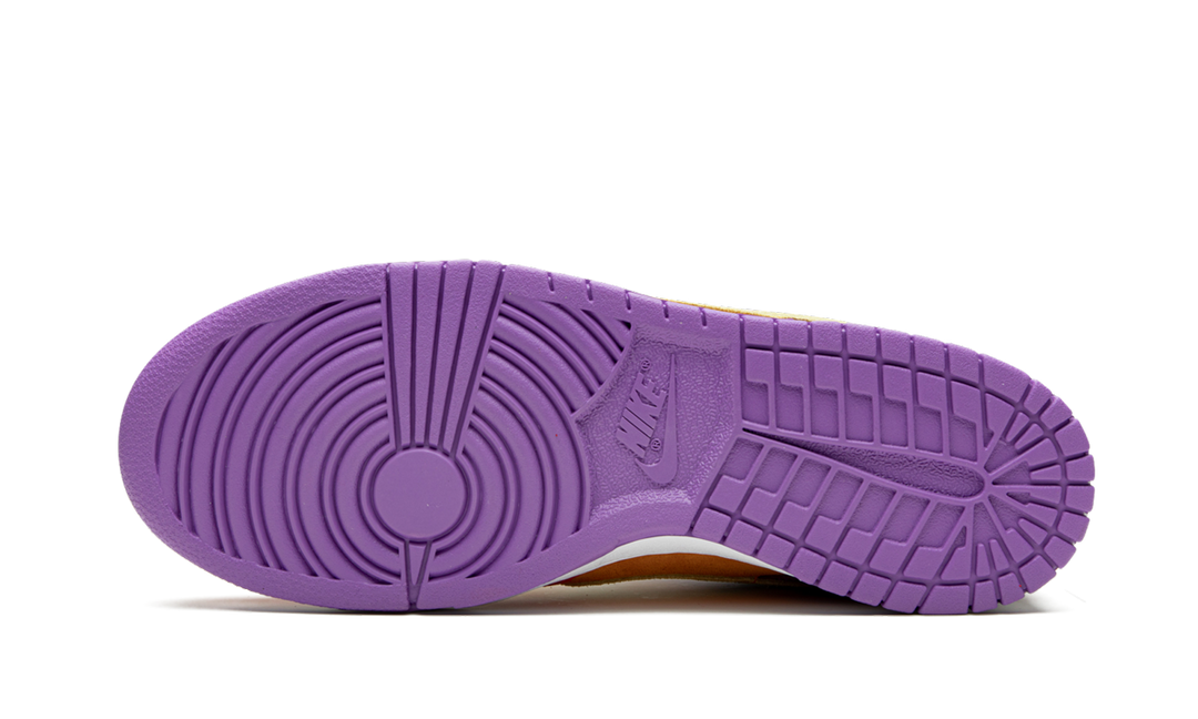 NIKE SB DUNK LOW VIOTECH