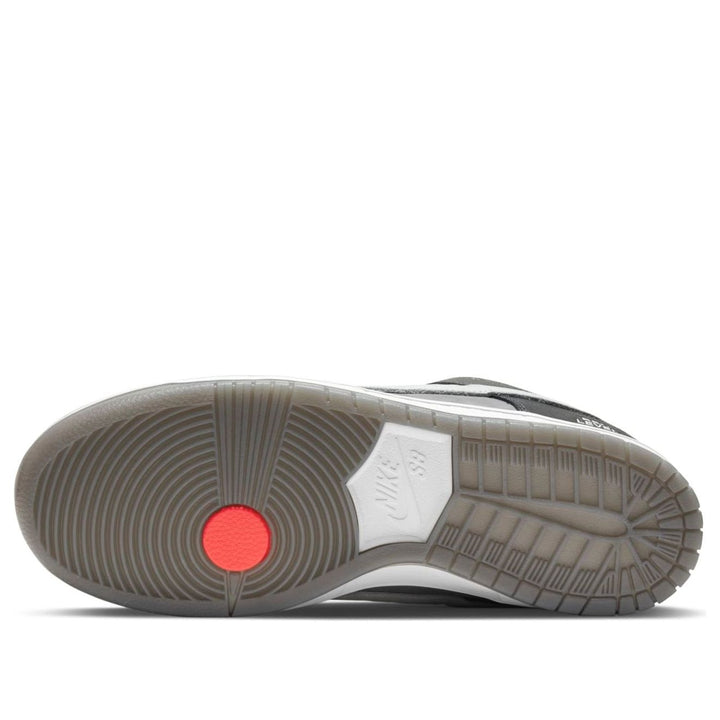 NIKE SB DUNK LOW VX1000 CAMCORDER