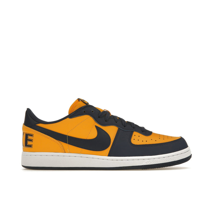 NIKE TERMINATOR LOW MICHIGAN — Stock 