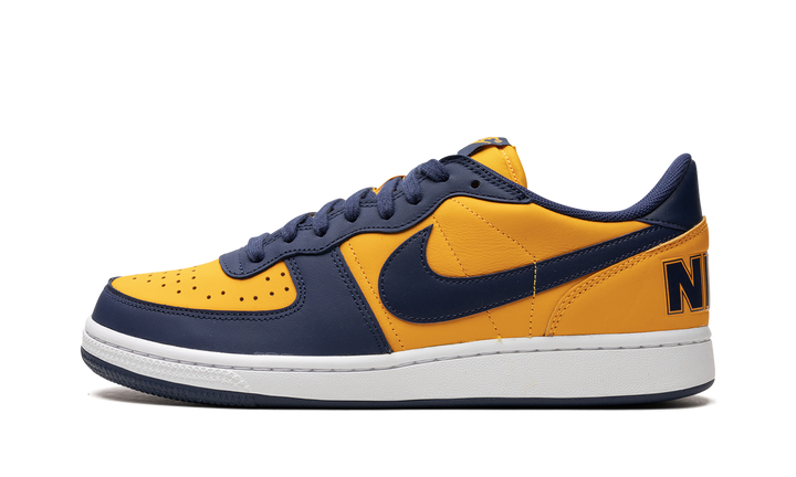 NIKE TERMINATOR LOW MICHIGAN — Stock 