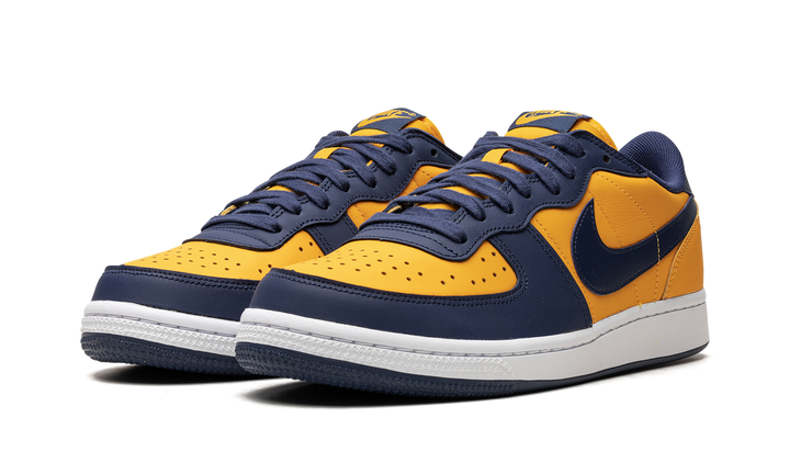 NIKE TERMINATOR LOW MICHIGAN — Stock 